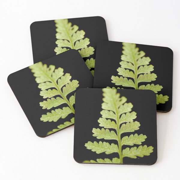 Item preview, Fern designed and sold by Kana Photography.