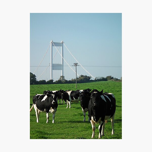 Item preview, Not a Severn bridge pastoral scene  designed and sold by buttonpresser.