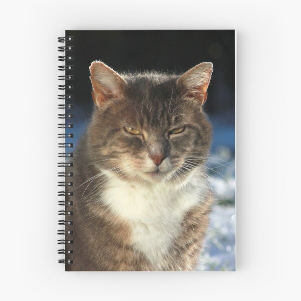 Item preview, Winter cat designed and sold by turniptowers.