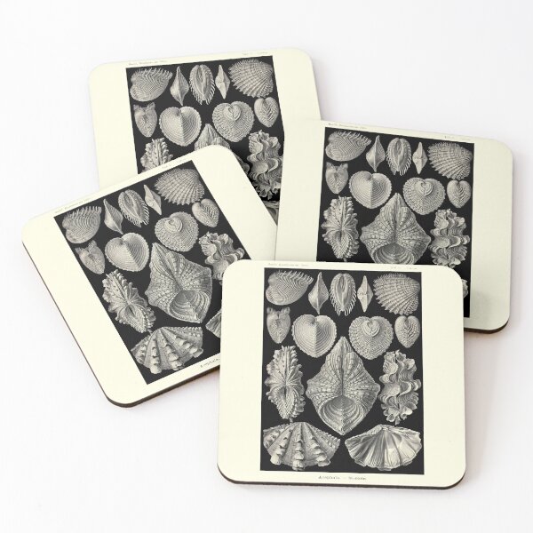 Item preview, Plate 55.Acephala. Bivalvia, water-living animals that have a shell of two rounded plates joined at one edge by a hi designed and sold by Squirrox.