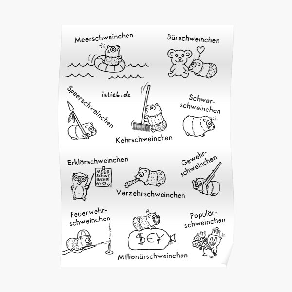 Meerschweinchen Poster