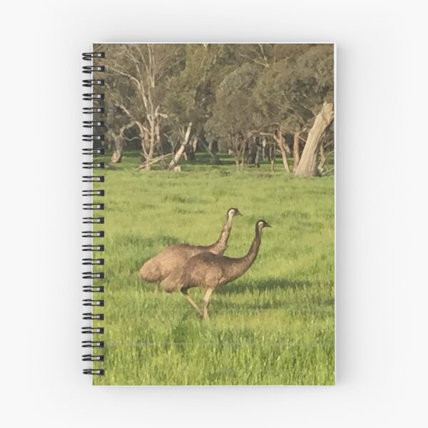 Item preview, Emus  designed and sold by BronwynParry186.