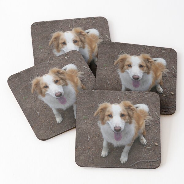 Item preview, Pippin the Border Collie designed and sold by BronwynParry186.