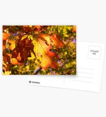 Leaves Me Breathless!!! Postcards
