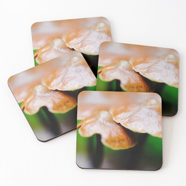 Item preview, Mushrooms III designed and sold by Kana Photography.
