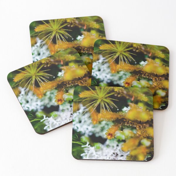 Item preview, Fun-guys designed and sold by Kana Photography.