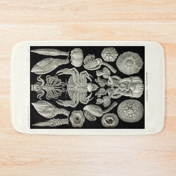 Item preview, Plate 57. Barnacles, small marine animals related to crabs and lobsters. designed and sold by Squirrox.