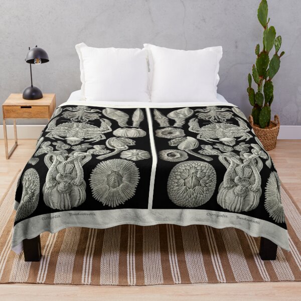 Item preview, Plate 57. Barnacles, small marine animals related to crabs and lobsters. designed and sold by Squirrox.