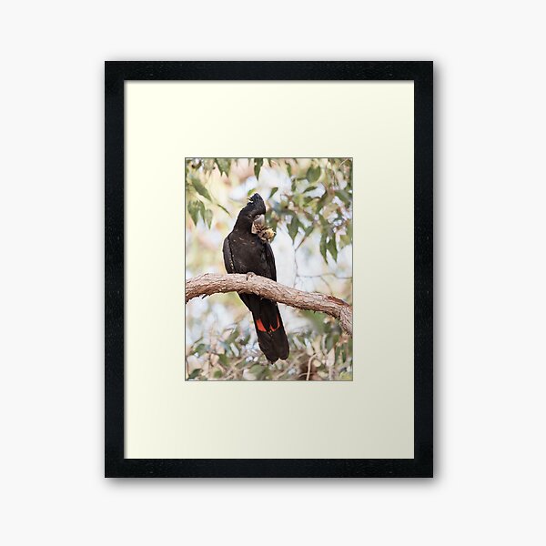 The Feast Begins Framed Art Print
