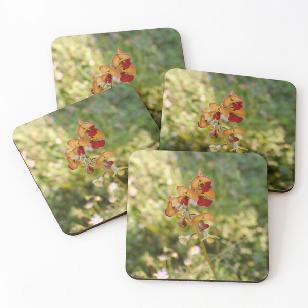 Item preview, A native pea flower designed and sold by BronwynParry186.