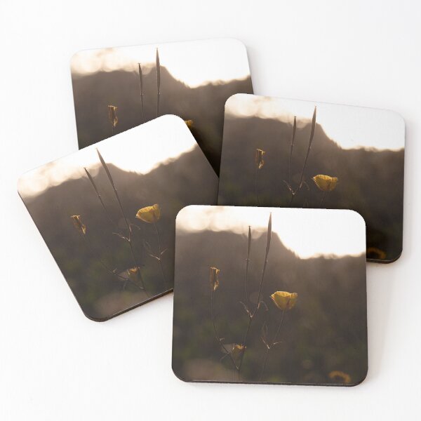 Item preview, Blooming at Sunset designed and sold by KMGoldsworthy.