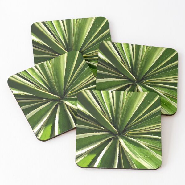 Item preview, Stunning Aerial Succulent Shot designed and sold by Jacquei-boy.