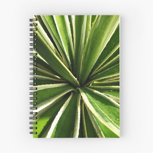 Item preview, Stunning Aerial Succulent Shot designed and sold by Jacquei-boy.