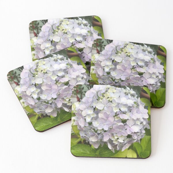 Item preview, Hydrangea designed and sold by BronwynParry186.