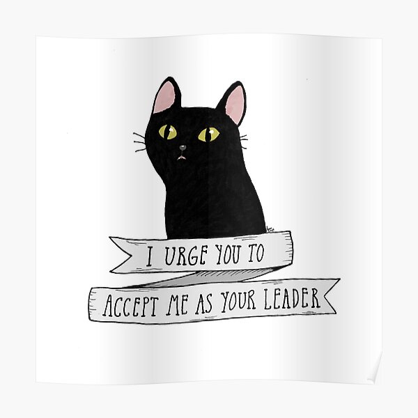 Salem Saberhagen Poster