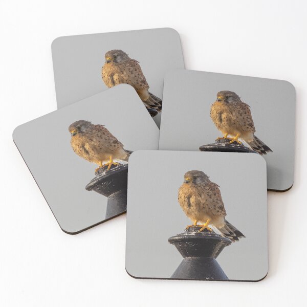 Item preview, Kestrel designed and sold by iCimages.net.