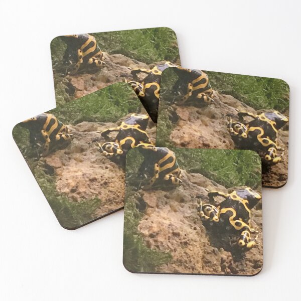 Item preview, Yellow-Banded Poison Dart Frog designed and sold by Martina Nicolls.