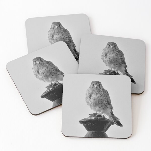 Item preview, Kestrel designed and sold by iCimages.net.