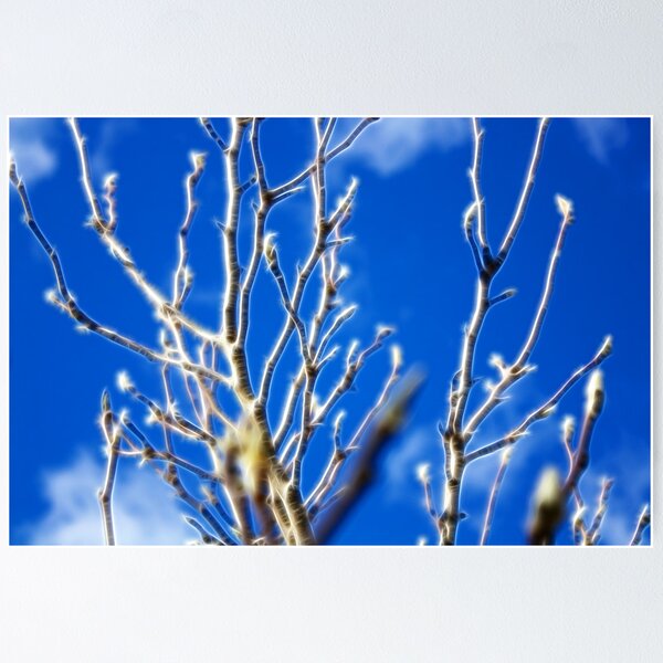 Item preview, FEB designed and sold by Maggie Lowe.