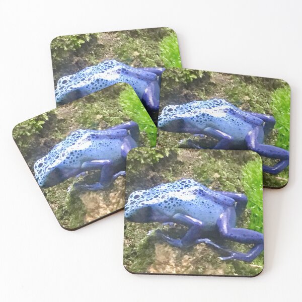Aperçu de l'œuvre Grenouille Dart Poison Bleu créée et vendue par Martina Nicolls.