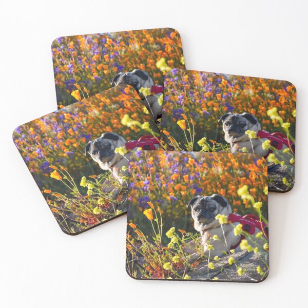 Item preview, Relaxing Pug Enjoys the Super Bloom designed and sold by pugventurephoto.