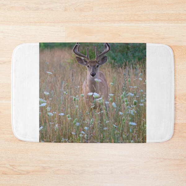 Item preview, Velvet and Lace - White-tailed Buck in Summer designed and sold by James Cumming.