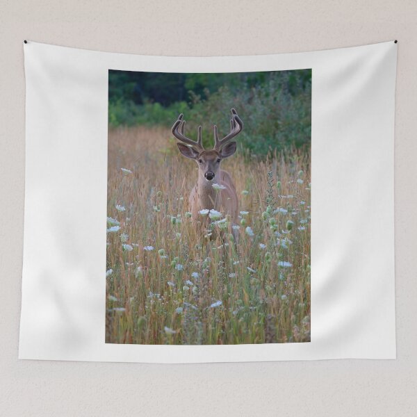Item preview, Velvet and Lace - White-tailed Buck in Summer designed and sold by James Cumming.