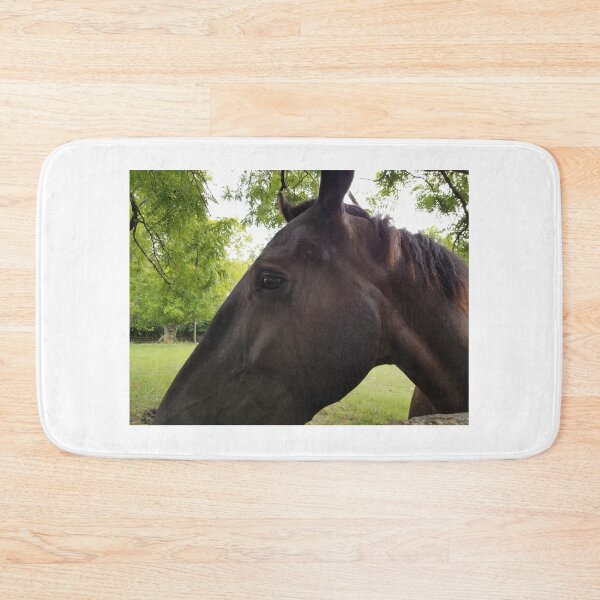 Item preview, Beautiful soul of a horse designed and sold by DonnaJoy.