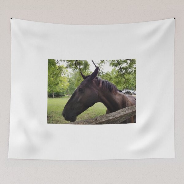 Item preview, A beautiful horse  designed and sold by DonnaJoy.