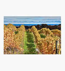 View from East Dell Photographic Print