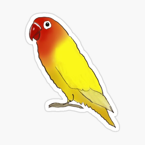 Item preview, Fischer's lovebird designed and sold by lobitos.