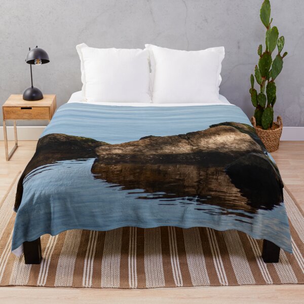 Item preview, Rocks and Reflection, Bayfront Park designed and sold by SRosuphotos.