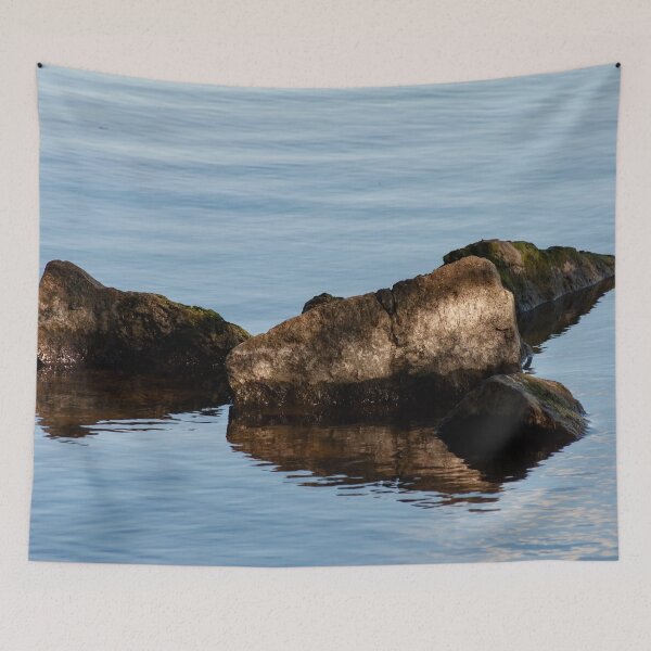 Item preview, Rocks and Reflection, Bayfront Park designed and sold by SRosuphotos.