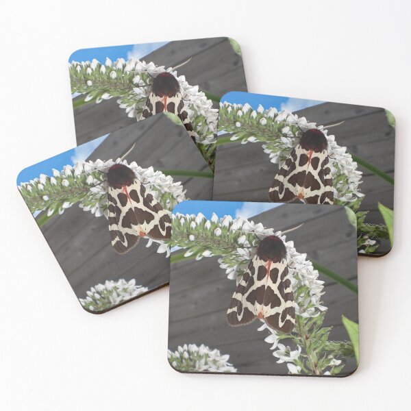 Item preview, Great Tiger Moth designed and sold by Czerra.