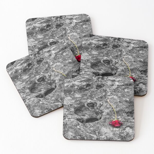Item preview, Rose offering designed and sold by Daniel Baker Photography.