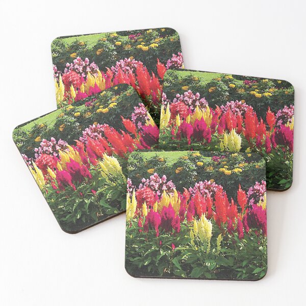 Item preview, Garden in Elizabeth Park designed and sold by Susan Savad.