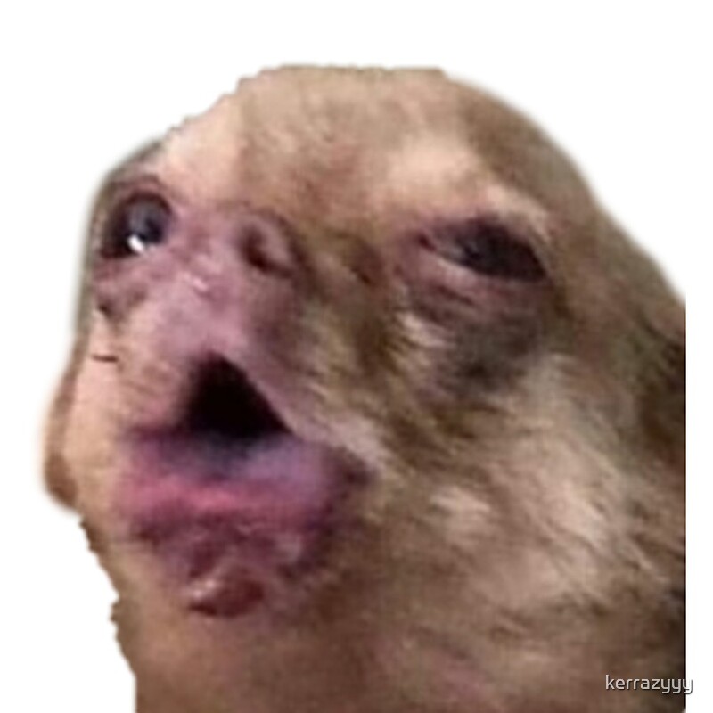 "coughing chihuahua " by kerrazyyy Redbubble