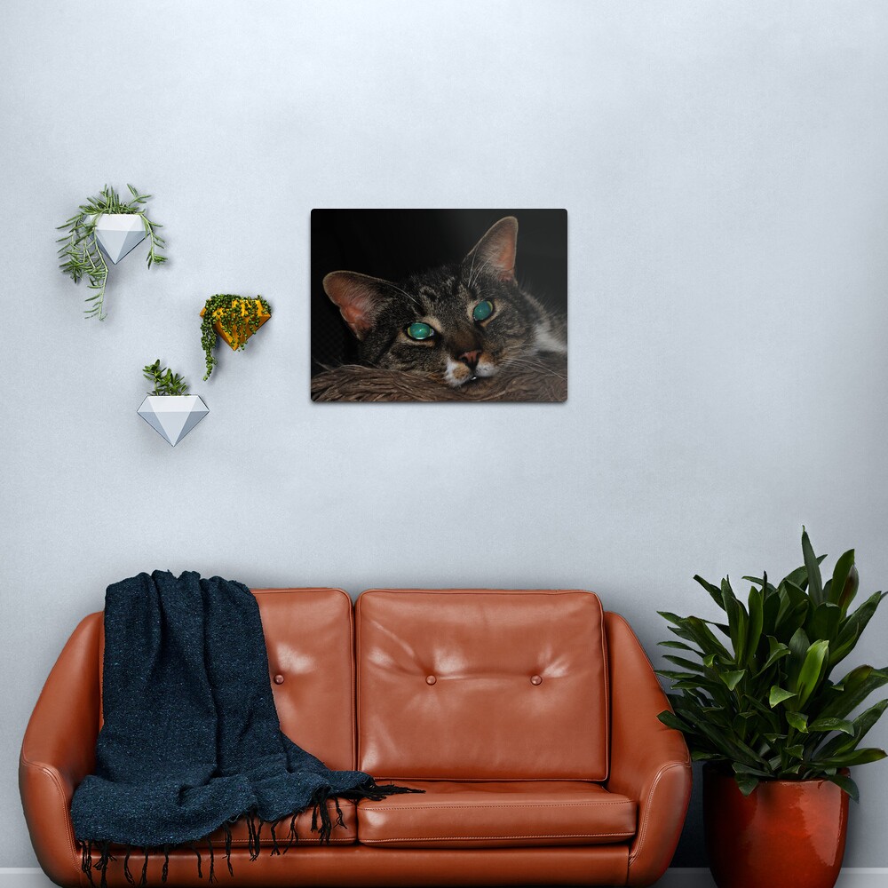 Staring into Space Metal Print