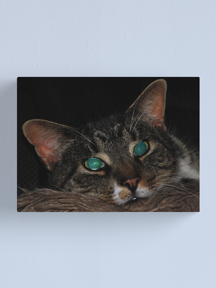 Alternate view of Staring into Space Canvas Print