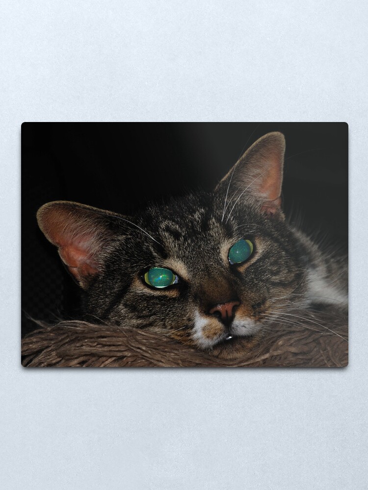 Alternate view of Staring into Space Metal Print