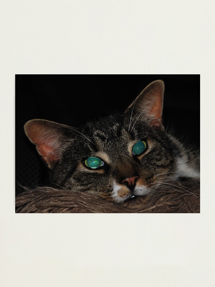Alternate view of Staring into Space Photographic Print