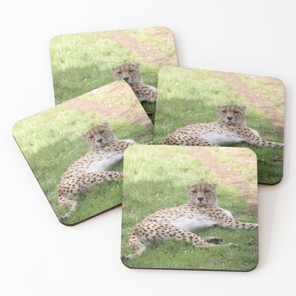 Item preview, Cheetah at Rest designed and sold by Diane Noyce.