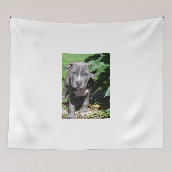 Item preview, Gorgeous Baby Pit Bull Puppy Dog designed and sold by Christy Carlson.