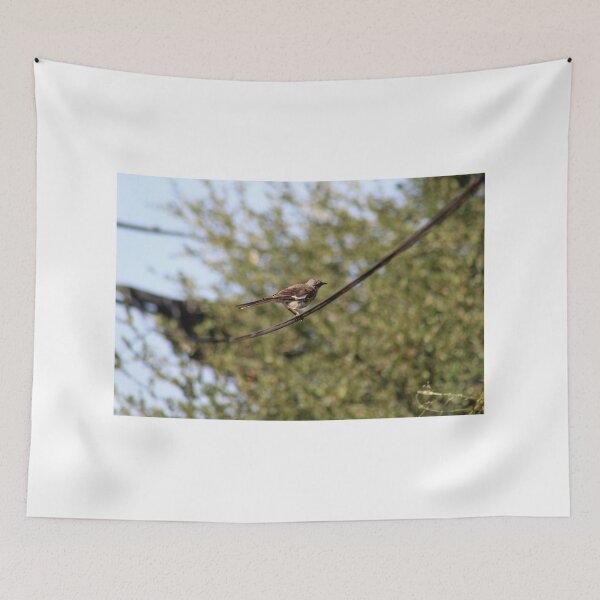 Item preview.