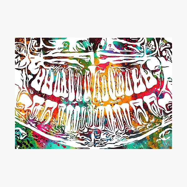 Dental X-RAY Photographic Print