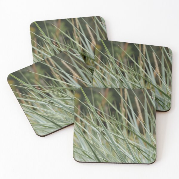 Item preview, Sharp cattail leaves foreground designed and sold by mrivserg.