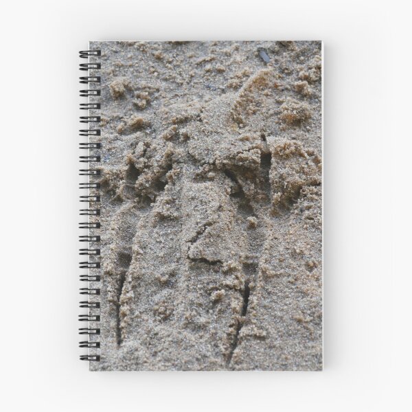 Item preview, footprints Bird in sand designed and sold by mrivserg.