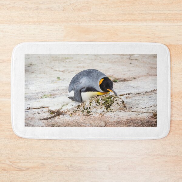 Item preview, Laying Penguin designed and sold by Daniel Baker Photography.