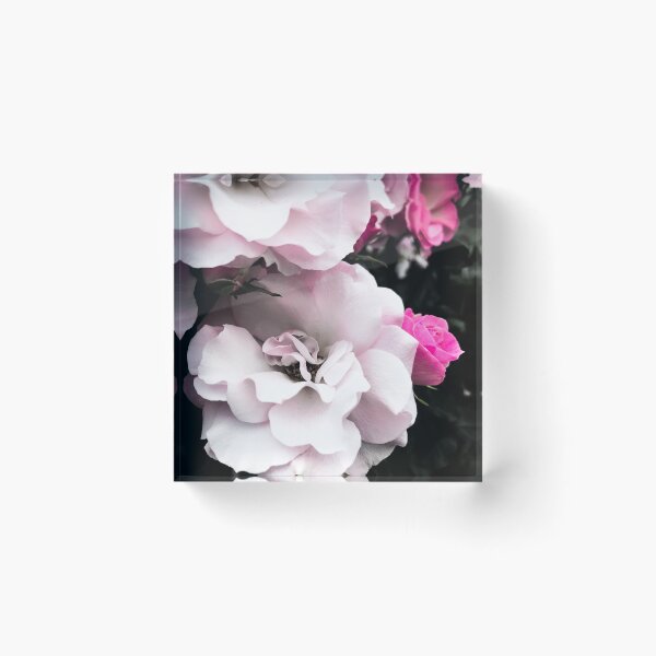 Item preview, In a Rose Garden designed and sold by KatTalbolt.
