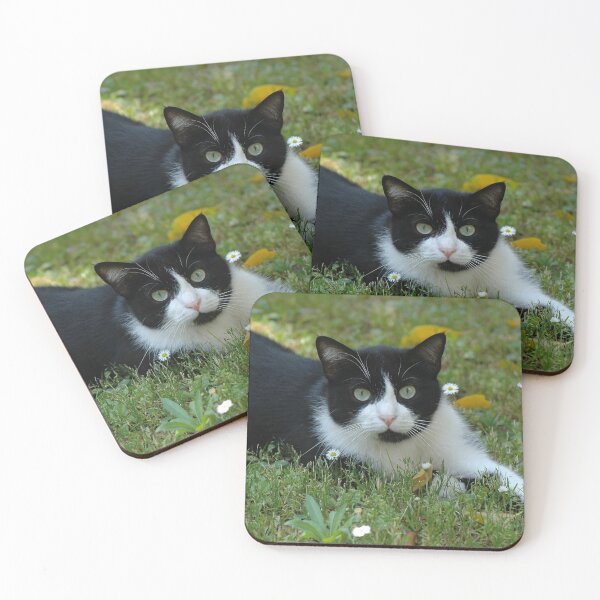 Item preview, Among the Daisies designed and sold by Nerone.